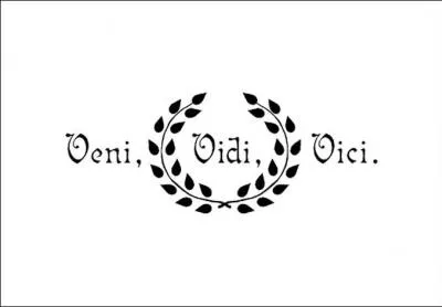 Qui a dit  Veni, vidi, vici  ?