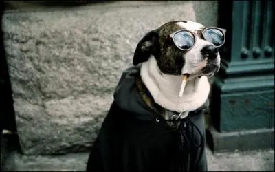 Terminons par cette citation, illustre par le chien et bien connue des picuriens : Mangez miam ...