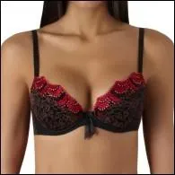 On nomme ce soutien-gorge pigeonnant  plunge , mais quel est son autre nom ?