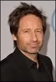 Dans quelle srie David Duchovny n'a-t-il pas jou ?