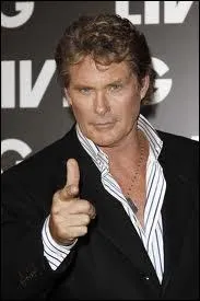 Dans quelle srie David Hasselhoff n'a-t-il pas jou ?