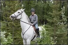 Quel est le nom du cheval de Georgie ?