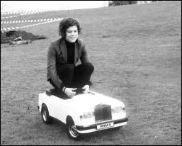 Commenons par Harry. Quel est son vrai prnom ?