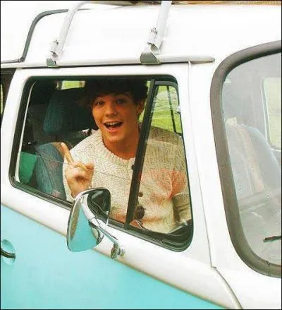 Quelle est la musique prfre de Louis (Video Diaries) ?