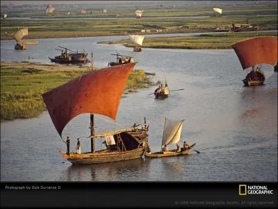 Il a fait conna�tre Bob Dylan aux fran�ais, �a fait un sacr� bout de temps qu'il tient bon la barre, alors veuillez hisser son nom bien haut !