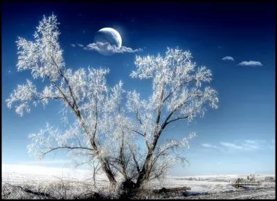 Si c'est une gagnante de la  Star Academy  qui vous le dit, c'est s�rement vrai !