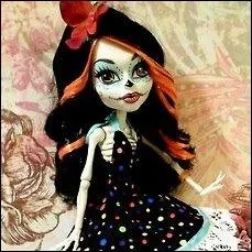 Quel est ce squelette ?