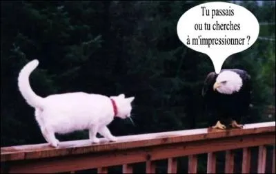 Raisonnons avec simplicit : ce quiz ne vous aura pas jet :