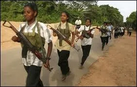 Le 24 juillet 2001 le LTTE a lanc une attaque suicide contre l'aroport international de Colombo accol  la base arienne militaire. Quels ont t les dommages ?