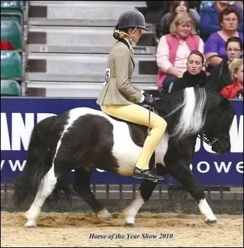 D'aprs vous, quelle est la spcialit de cette cavalire ?