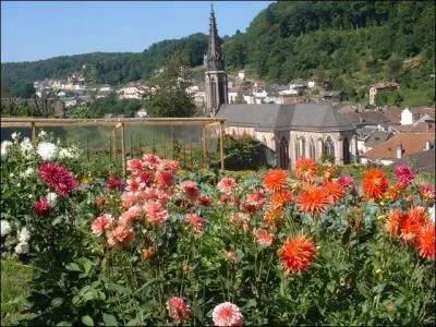 Vous avez dcid de visiter Plombires-les-Bains et ses environs, dans quel dpartement allez-vous aller ?