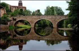 La Senouire est un affluent de l'Allier. Elle est par consquent un sous-affluent ...