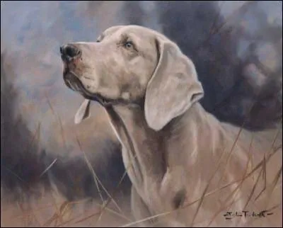 - la chienne qui (... ) de revenir ...