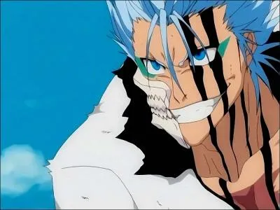 Simple : Grimmjow a t  tu  par :