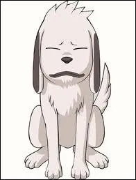 Comment s'appelle ce chien ?