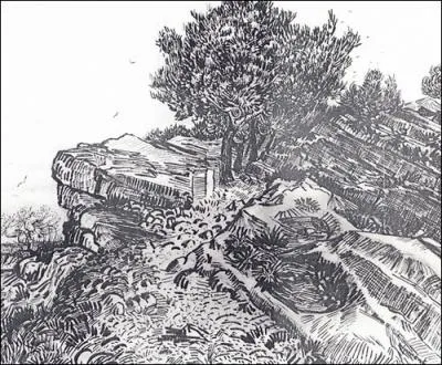 Accords et orthographe : Le terrain gris, les hauts roseaux "... " d'un (... ),