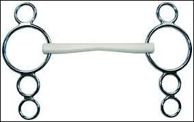 Quel est ce type de mors ?