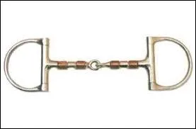 Quel est ce type de mors ?