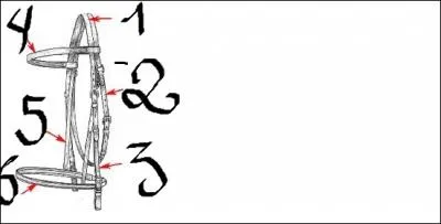 Comment s'appelle la partie que reprsente le numro 2 ?