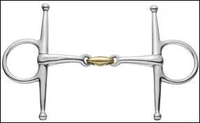 Comment s'appelle cette partie du filet ?