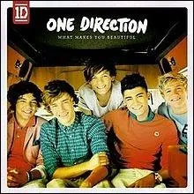 De quel genre est cet album : What make you beautiful (One direction) ?