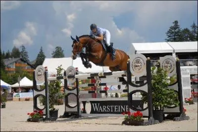 Comment se nomme ce cheval?