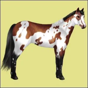 De quelle couleur est sa robe?