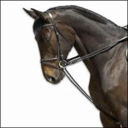 Comment se nomme cet enr�nement?