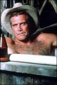 Qui Lee Majors a-t-il incarn  la tlvision (de 1981  1986) ?