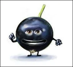 Qui est ce drle de petit fruit ?