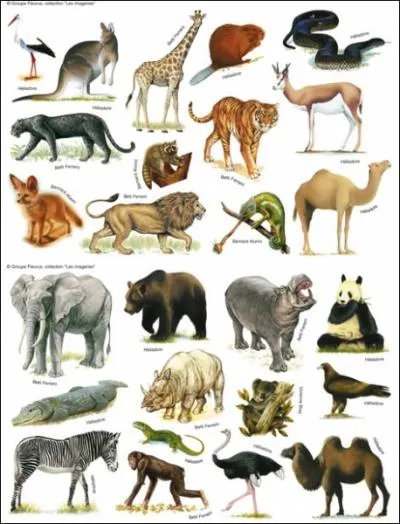 Quel(s) animal(aux) hennit / hennissent ?