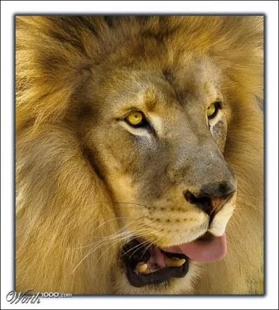 Il fait preuve de beaucoup d'autorité, la Sorcière blanche, bof, même pas peur !