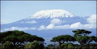 Qui chantait  Les neiges du Kilimanjaro  ?