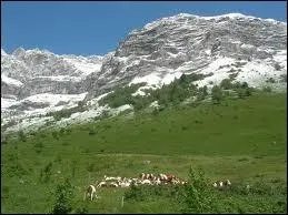 Que nous chantait Sylvie Vartan ?