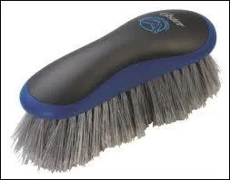 Quelle est cette brosse ?