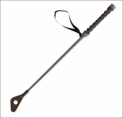 Quel est cet objet de pansage ? ( objet du cavalier aussi )