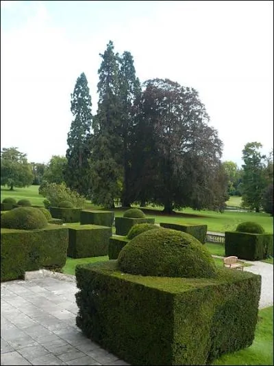 Dans l'art topiaire, les vgtaux ne doivent pas tre...