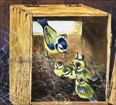 Avez-vous reconnu les oiseaux convoits par le chat ?