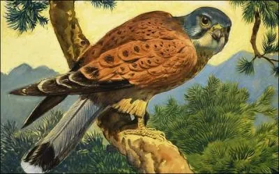 La surveillance s'exerce de toutes parts.