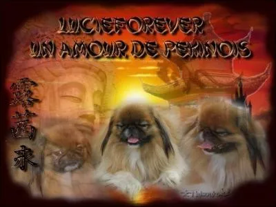 Si vous n'agrandissez pas la photo, vos jours ne seront pas compts !