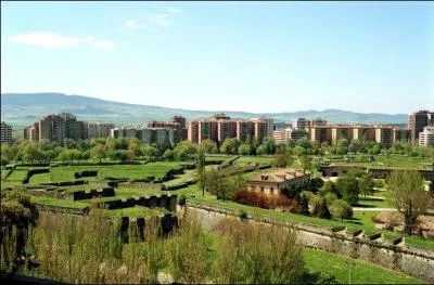 Que l�che-t-on dans les rues de Pampelune � l'occasion des f�tes de la Saint-Firmin ?