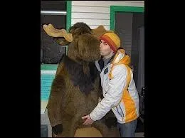 Dans quel pays se droule probablement le carnaval de cette photo ?