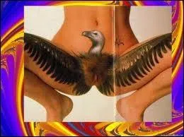 Comment s'appelle cette technique de dguisement qui consiste  ne rien porter d'autre que de la peinture ?