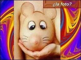 Je passe quand vous perdez une dent et la laissez sous l'oreiller en change d'une pice ...