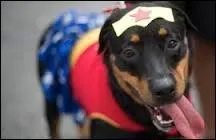 Traditionnellement, pour s'amuser lors du carnaval, il est frquent de ...