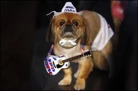 Si la musique country voque le far-west et ses cow-boys, quel style de musique peut voquer le carnaval ?