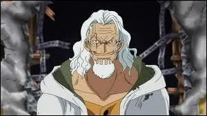 Rayleigh fait partie de l'quipage de Gold Roger.