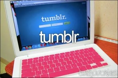 Quelle est l'adresse internet des Amricains ?