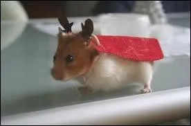 De quelle saga du cinma ce dguisement provient-il ?