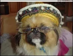 Pour les fans de la srie Kung-fu avec David Carradine ...